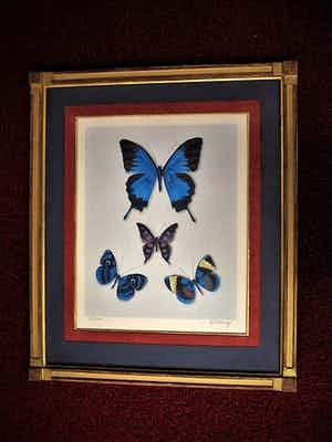 Hans Verhoef - Bijzonder bep. oplage (50) Litho "diverse Vlinders" gesigneerd verkocht voor € 10!
