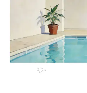 Mr Strange - The Johnson Twins Are at the Pool kopen? Bied vanaf 80!