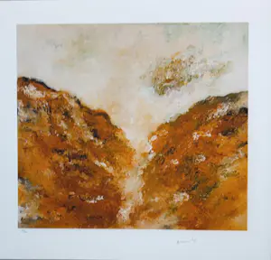 Armando - Kleurengiclee DIE BIRGE Handgesign, kopen? Bied vanaf 148!