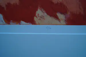 Toni de Klerk - Bubo cupeustion kopen? Bied vanaf 45!