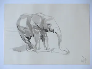 Willem van Dort - Oliefant - Gewassen inkttekening kopen? Bied vanaf 35!