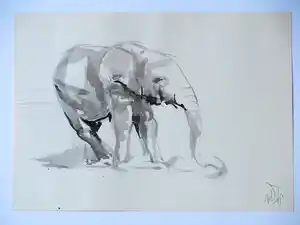 Willem van Dort - Oliefant - Gewassen inkttekening verkocht voor € 35!