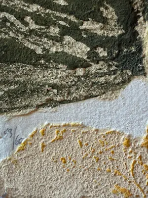 Bernard Alligand - Gravure au carborundum kopen? Bied vanaf 275!