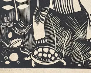 Tinus van Doorn - Onbekend kopen? Bied vanaf 20!