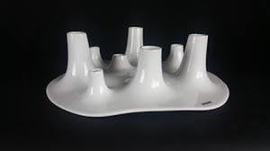 Willem Noyons - Fruit & Fire kopen? Bied vanaf 29!