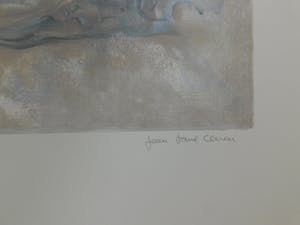 Jean-Paul Cleren - Le visage gris kopen? Bied vanaf 10!