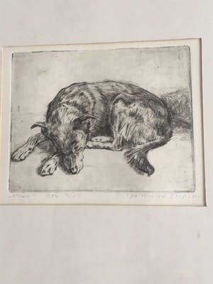 Ronald Terpstra - ets - slapende hond ("Vino") kopen? Bied vanaf 30!
