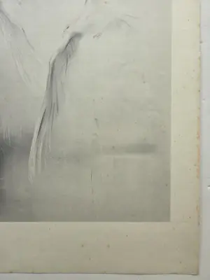 Han van Meegeren - Meeuwen. kopen? Bied vanaf 69!