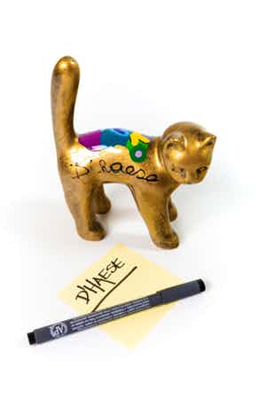 Hannes D'Haese - STANDING CAT verkocht voor € 99!