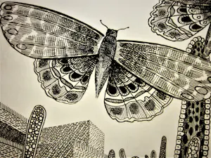 Jan Bernard Meinen - Grote & gedetailleerde Inkt-tekening "Vlinders bij stadsmuur" - 1974 - gesigneer kopen? Bied vanaf 29!