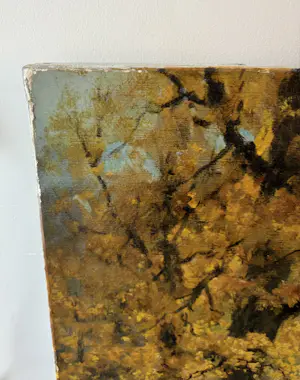 Robert Wood - Forest kopen? Bied vanaf 20!