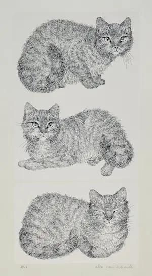 Ella van Schaik - poes, poes & poes kopen? Bied vanaf 10!