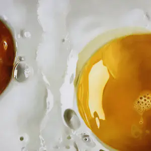 Tjalf Sparnaay - Ei / Egg kopen? Bied vanaf 365!