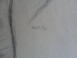 Harry Maas - Potloodtekening . Vrouwelijk naakt. kopen? Bied vanaf 70!