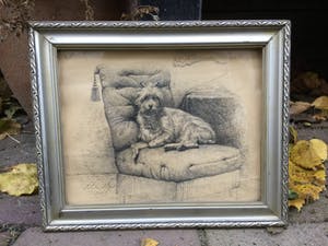 Niet of onleesbaar gesigneerd - C2510 - Hondenportret kopen? Bied vanaf 1!