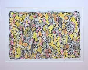 Jan Wolkers - winterbeelden verkocht voor € 200!