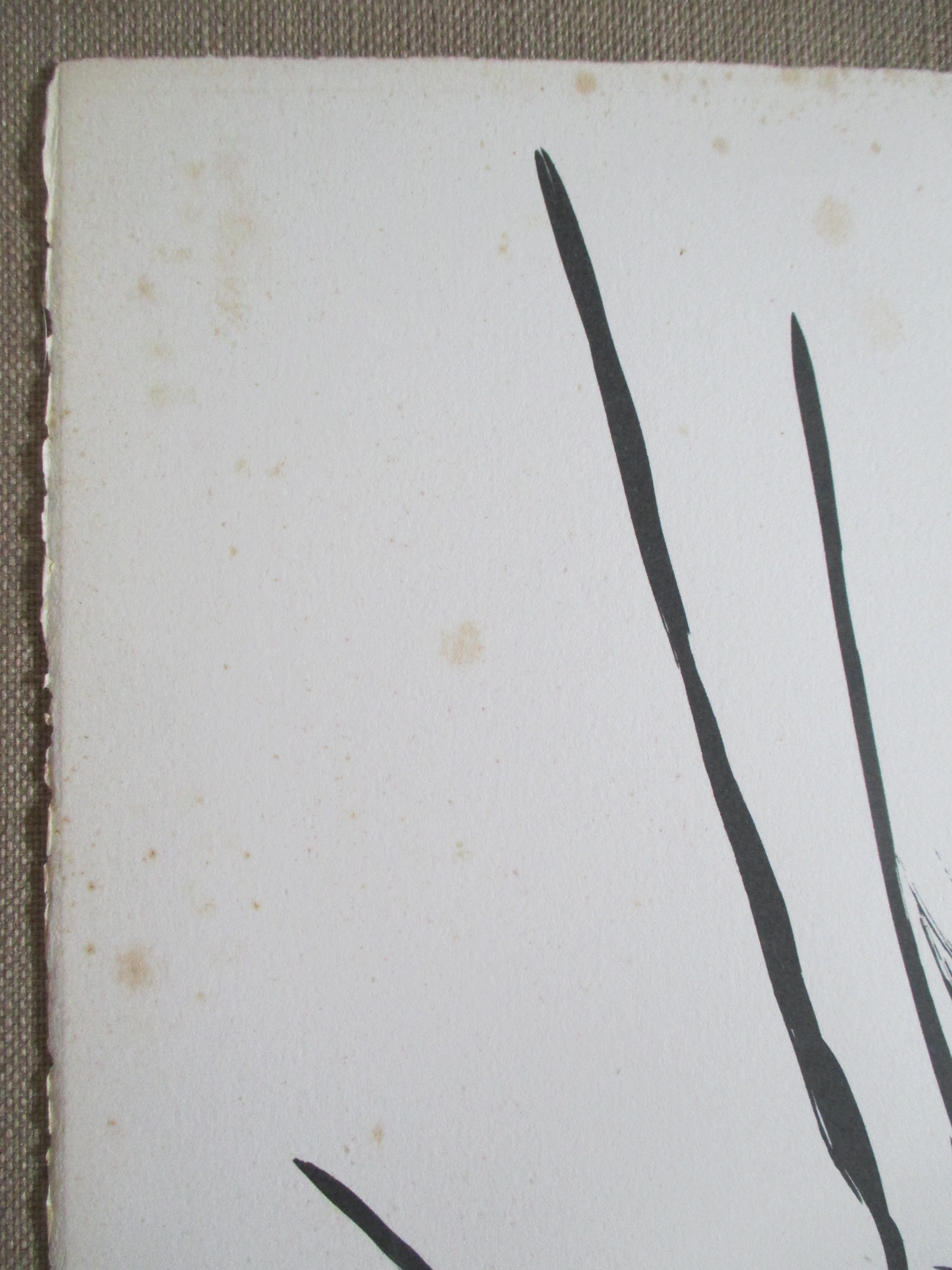 Henk Visch - Litho "Ontwapend" kopen? Bied vanaf 1!