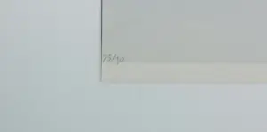 Jurjen Fontein - Zeefdruk op papier, Sprong - Ingelijst kopen? Bied vanaf 50!