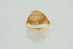 50 - Fraai gedetailleerde 18 Krt bi-color gouden ring - zegel model kopen? Bied vanaf 135!