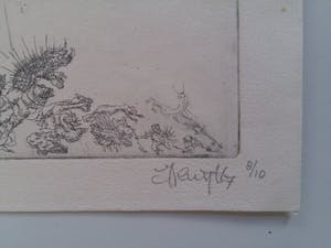 Hans Kuyt - Belcampo - Het Grote Gebeuren - De Duivels kopen? Bied vanaf 75!