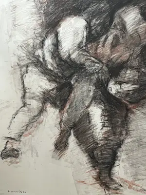 Hans Lie - JUDOKA’ S kopen? Bied vanaf 79!