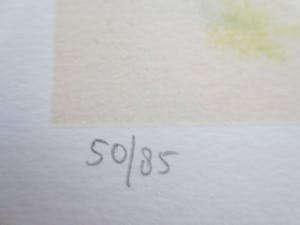 Nicole Schaap - lever du soleil kopen? Bied vanaf 50!