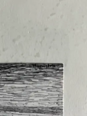 Folkert Haanstra (jr.) - Landschap met populieren kopen? Bied vanaf 40!