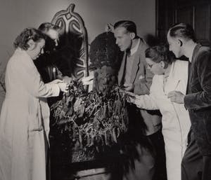 Jo Bokma - Tropisch Instituut kopen? Bied vanaf 20!