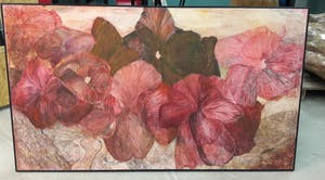 Marli Turion - Rode violen kopen? Bied vanaf 145!