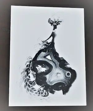 Cecile Dreesmann - Boek met handgeschreven uitnodigingskaart & diversen kopen? Bied vanaf 30!