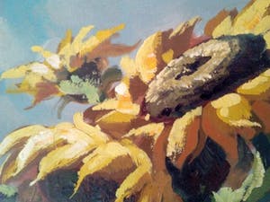 Niet of onleesbaar gesigneerd - Zonnebloemen kopen? Bied vanaf 1!