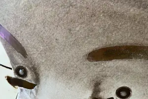 Ossip - Vrouw kopen? Bied vanaf 500!