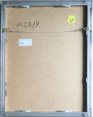 Sharon Amir - Immortal I | kleuren zeefdruk - ingelijst kopen? Bied vanaf 25!