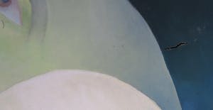 Frans Nicolai - Olieverf op doek, Zonder titel - Ingelijst kopen? Bied vanaf 1!