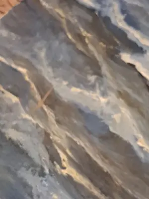 Meeuwis van Buuren - Authentiek Zeegezicht Meeuwis van Buuren (1902-1992) – Herkomst Gebr. Koch kopen? Bied vanaf 110!