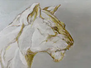 Bram Hermens - Dieren kopen? Bied vanaf 150!
