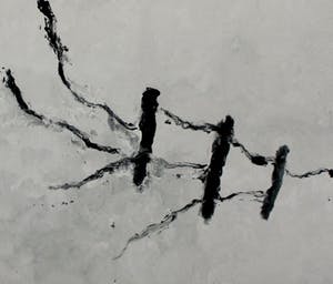 Armando - "der Zaun "- Giclée - 2015 - oplage 30 ex. kopen? Bied vanaf 200!