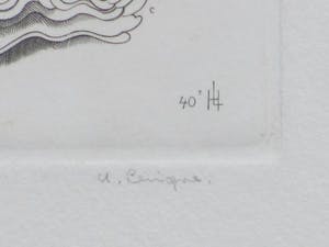 Hubert Levigne - Twee vijvernimfen - Gravure kopen? Bied vanaf 45!