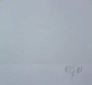 Klaas Gubbels - Zeefdruk met bijbehorend tekstblad - 1981 kopen? Bied vanaf 95!