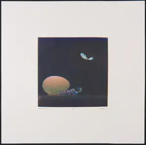 Joop Vegter - Mezzotint, Neerdwarrelend veertje kopen? Bied vanaf 50!
