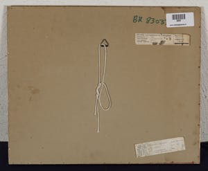 Henk Sparreboom - Ashanti - 1980 - gouache en aquarel op papier kopen? Bied vanaf 20!