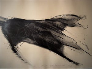 Dick Goudriaan - Groot en Krachtig Houtskool op papier "Wilde Hond" gesigneerd kopen? Bied vanaf 1!