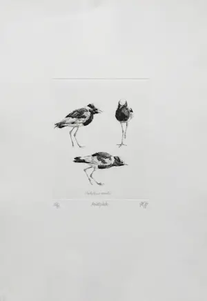 Peter Vos - ‘Smidsplevier’ - ets - oplage 35 kopen? Bied vanaf 195!