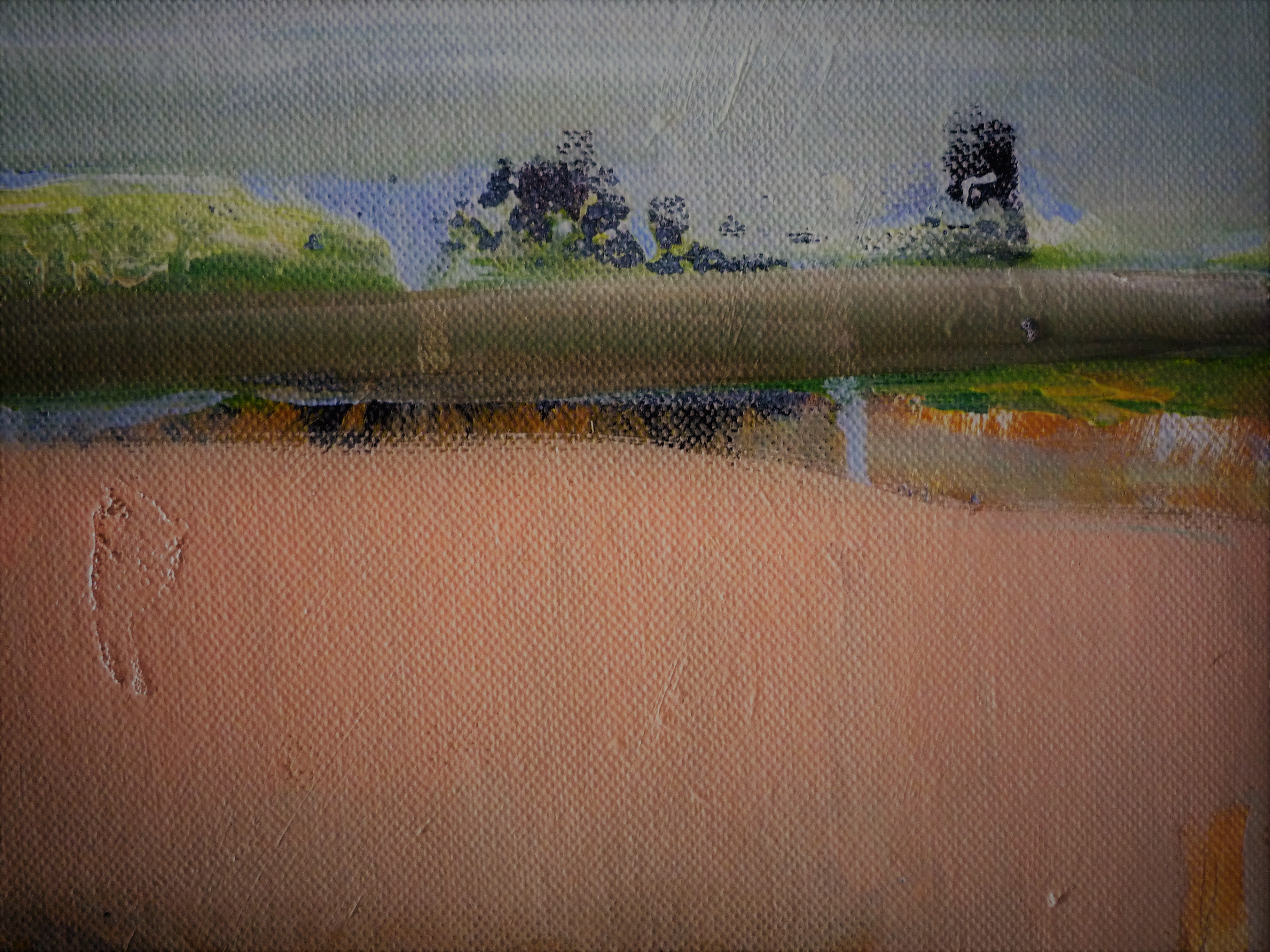 Irene van den Bos - Landschap in Friesland kaufen? Bieten Sie von 10!