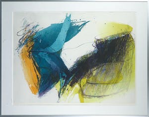 Hans Vredegoor - Kleurenets, Battle of Eden II - Ingelijst kopen? Bied vanaf 35!