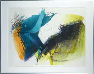 Hans Vredegoor - Kleurenets, Battle of Eden II - Ingelijst verkocht voor € 35!