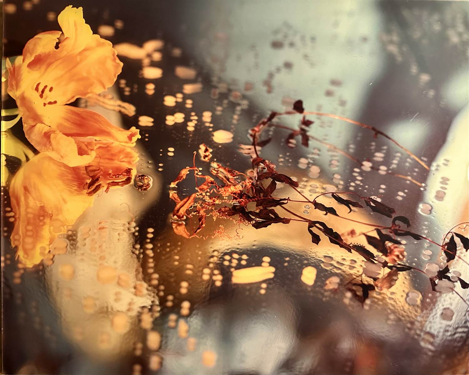 Margriet Smulders - Selene kopen? Bied vanaf 400!