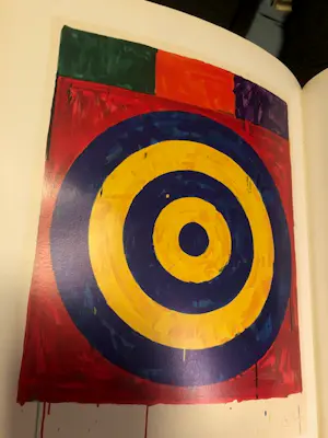 Jasper Johns - A print retrospective kopen? Bied vanaf 37!