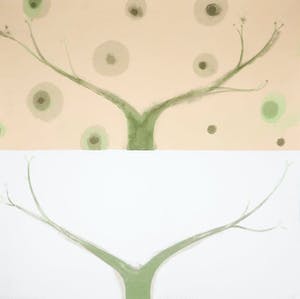 Piet Warffemius - Zeefdruk, Himalayan spring kopen? Bied vanaf 1!