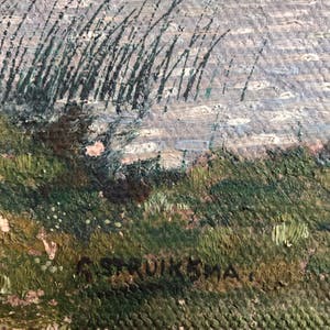 Goffe Struiksma - landschap kopen? Bied vanaf 5!